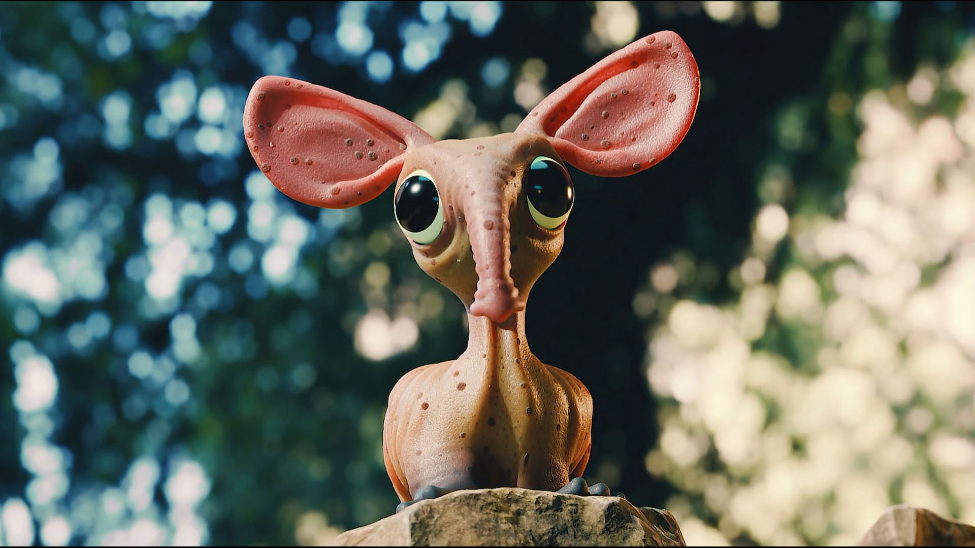 „Heißer Auftritt“ | Matthias Innauer