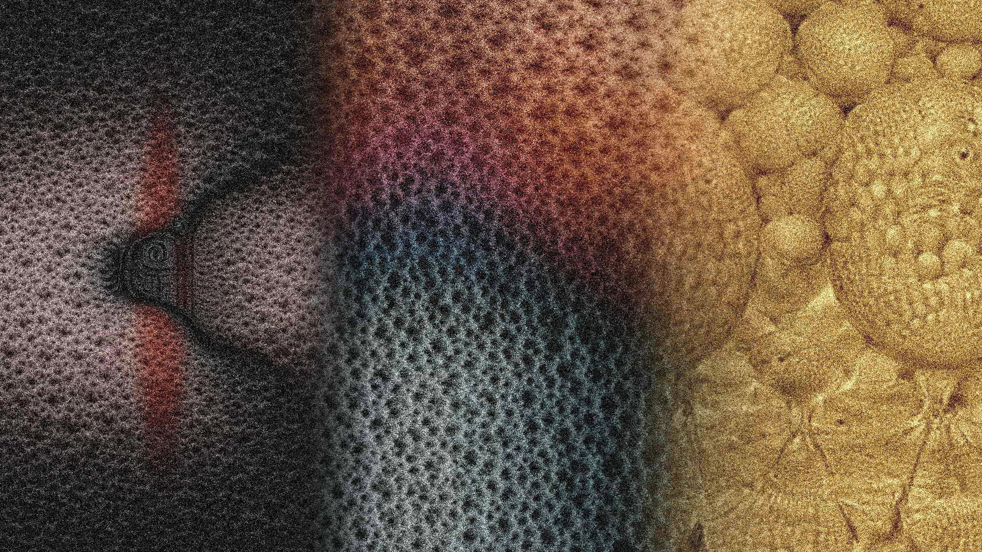 „The Garden Of Electric Delights“ | Billy Roisz