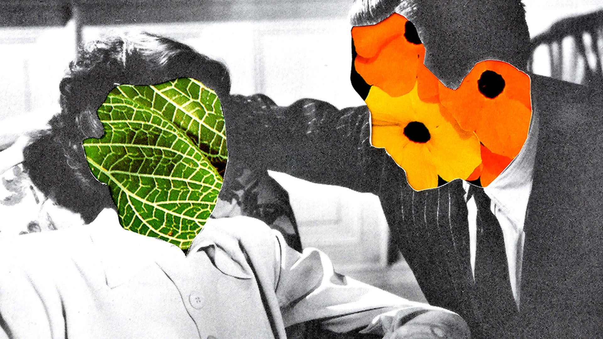 „Sie puppt mit Puppen“ | Karin Fisslthaler